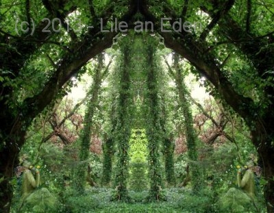 display4274ba5e818ec247d24fe3f0c64763e8