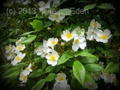 display16cc6bb4579dcf8e7ee149bc56799b51