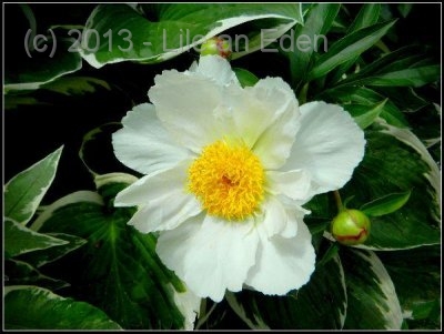 display27c843d300708fd4e1c1275fdce782ab