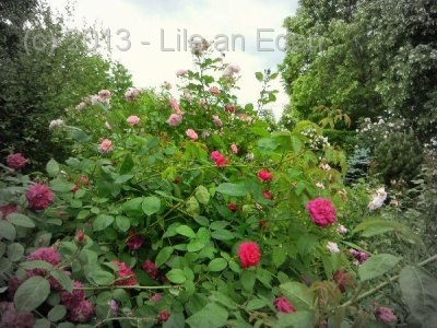 display9c58891cb4cb1f133b1605c51beac262
