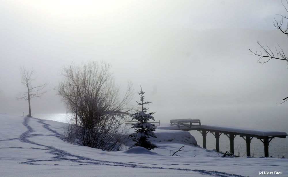 Winterbilder