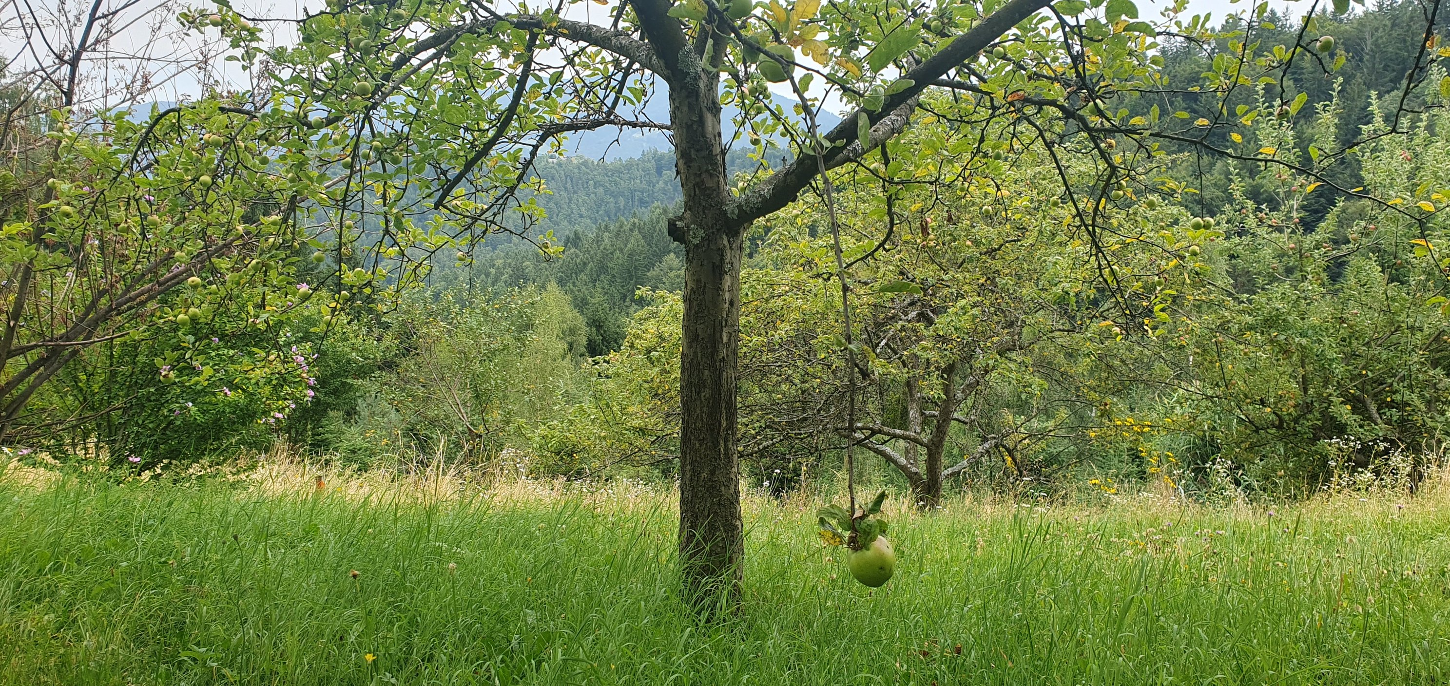 543115339_24445929455096822_2005896325961315873_n